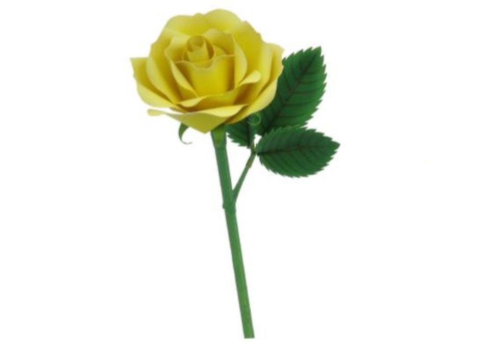 Rosa amarilla